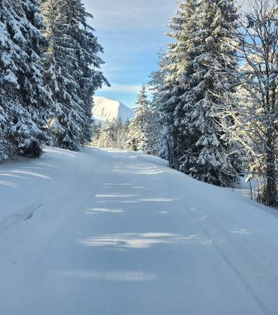 Découverte du damage du domaine nordique