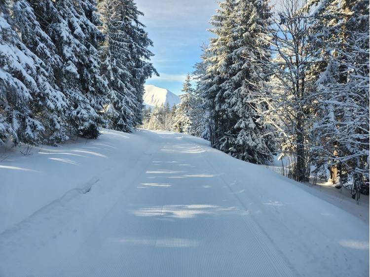 Photo 1 Découverte du damage du domaine nordique