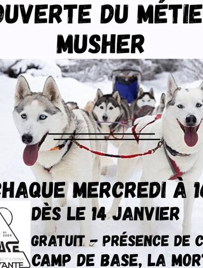 Découverte du métier de musher