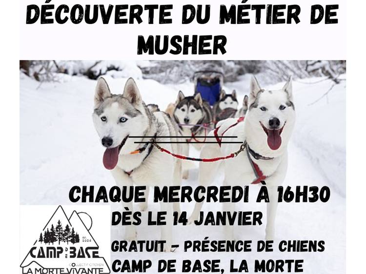 Photo 1 Découverte du métier de musher