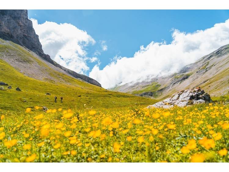 Photo 2 Tour de l'Obiou