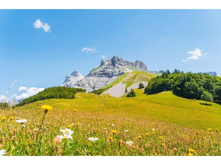 Photo 7 Tour de l'Obiou