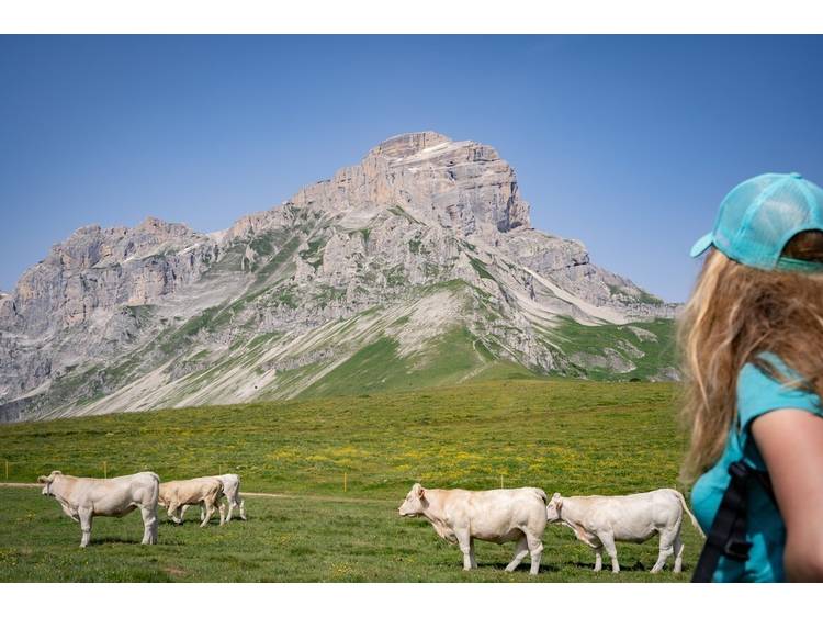 Photo 18 Tour de l'Obiou