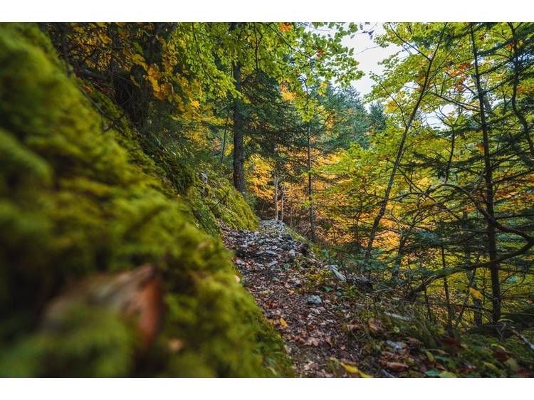 Photo 4 Tour de l'Obiou - Etape 1 - Pellafol > Bachilianne