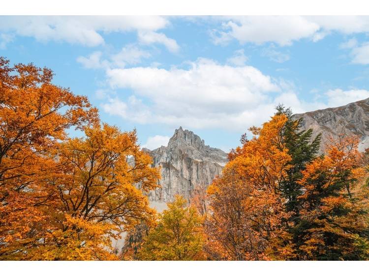 Photo 1 Tour de l'Obiou - Etape 1 - Pellafol > Bachilianne