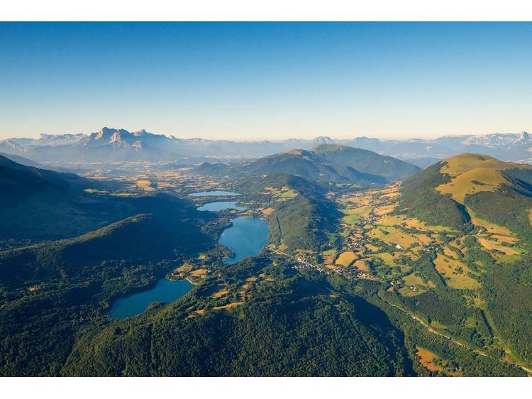 Photo 1 Plantes sauvages médicinales (avec Adrien Dumont, Mémé dans les orties)