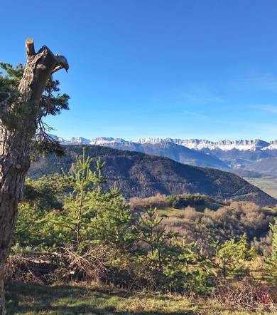 Itinéraire Pédestre - "A Rebrousse Temps" - Arboretum
