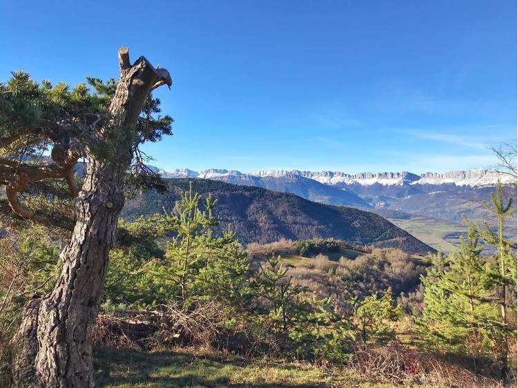 Photo 1 Itinéraire Pédestre - "A Rebrousse Temps" - Arboretum