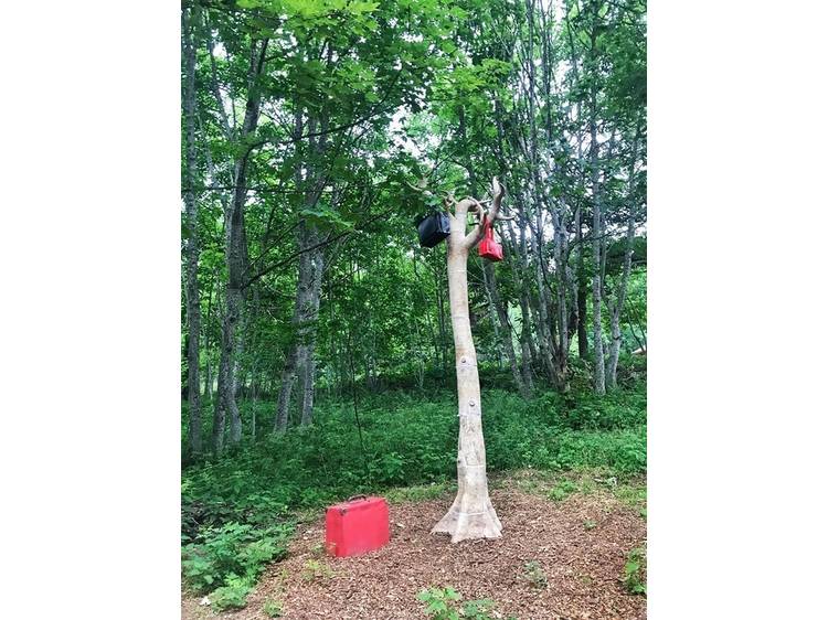 Photo 3 Itinéraire Pédestre - "A Rebrousse Temps" - Arboretum