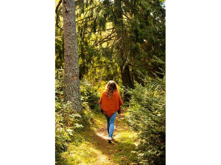 Photo 3 Itinéraire Pédestre - "A Rebrousse Temps" - Arboretum