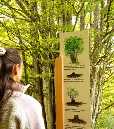 Itinéraire Pédestre - "A Rebrousse Temps" - Arboretum