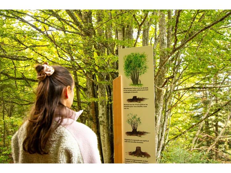 Photo 1 Itinéraire Pédestre - "A Rebrousse Temps" - Arboretum