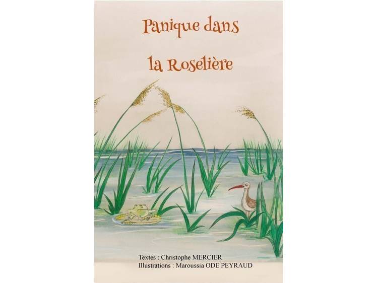 Photo 4 Festival Messiaen : "Panique dans la roselière" avec Christophe Mercier et sa kamicyclette - Cie le Petit Raconteur