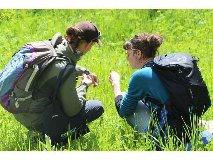 Photo 1 Stage plantes sauvages comestibles