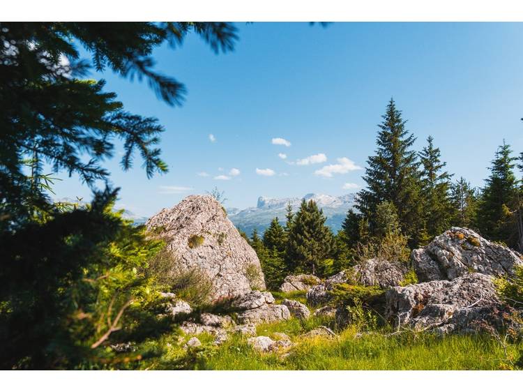 Photo 5 Tour de l'Obiou - Etape 4 - Lachaup > Pellafol