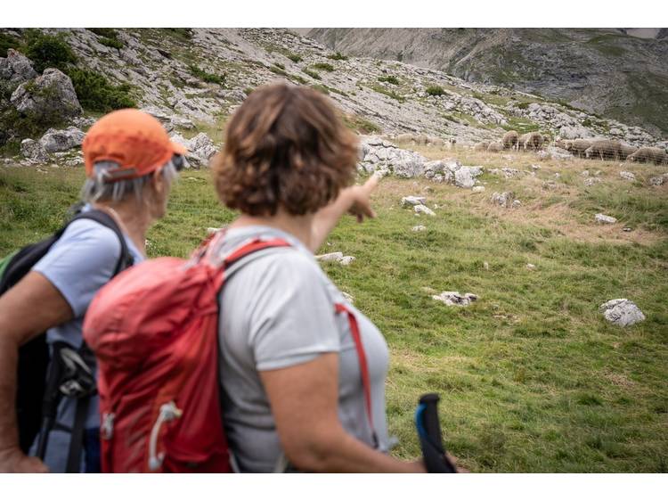 Photo 11 Tour de l'Obiou - Etape 4 - Lachaup > Pellafol