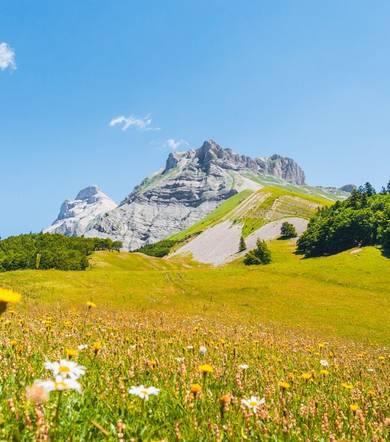 Tour de l'Obiou - Etape 3 - Tréminis > Lachaup