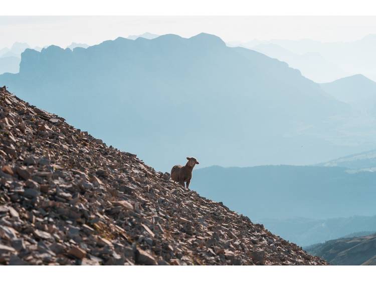 Photo 11 Tour de l'Obiou - Etape 3 - Tréminis > Lachaup