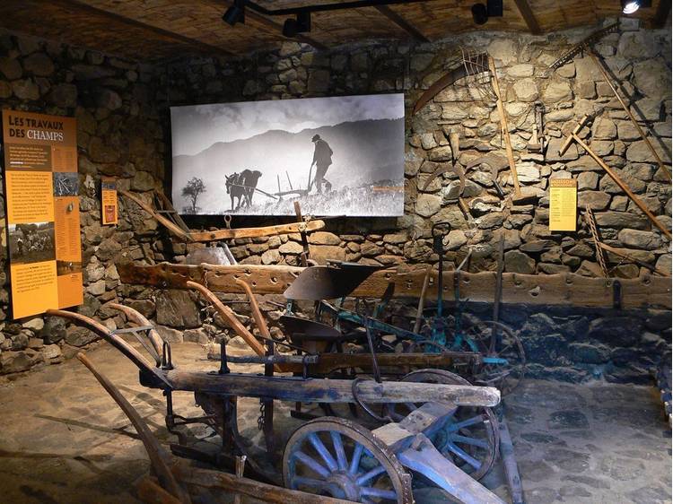 Photo 1 Strolling tones