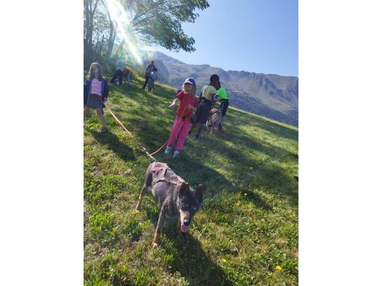 Photo 3 Colo Cani-Camp