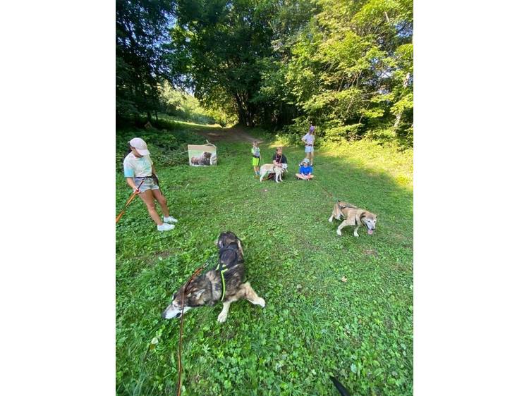 Photo 4 Colo Cani-Camp