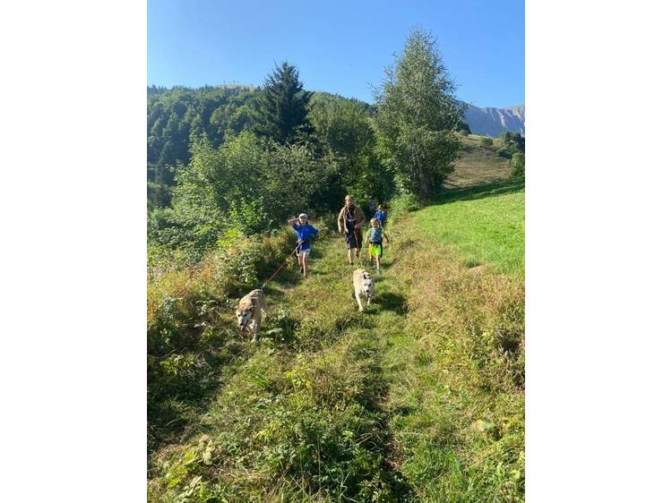 Photo 5 Colo Cani-Camp