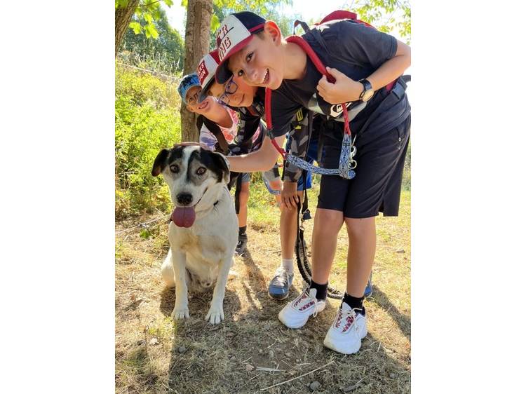 Photo 2 Colo Cani-Camp