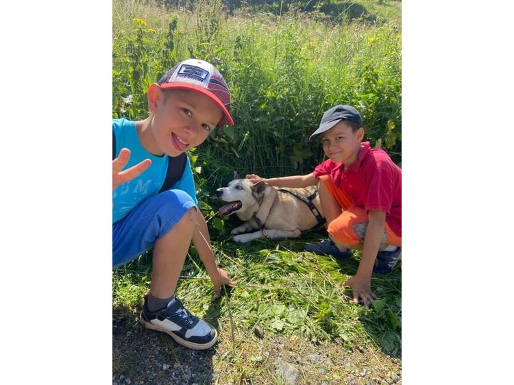 Photo 7 Colo Cani-Camp