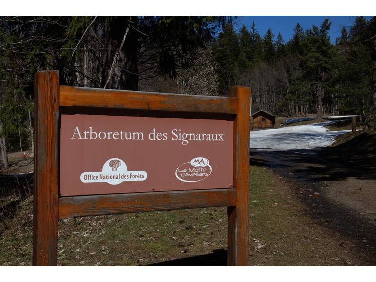 Photo 1 Le Bel Arboretum