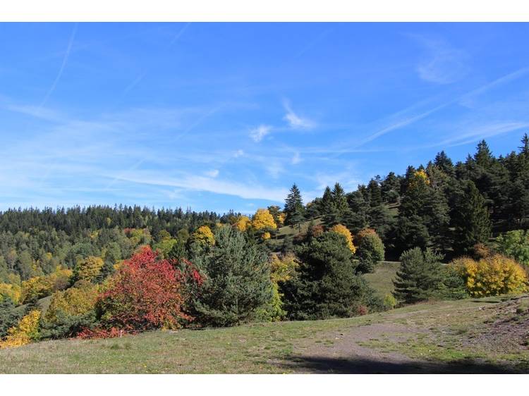 Photo 2 Le Bel Arboretum