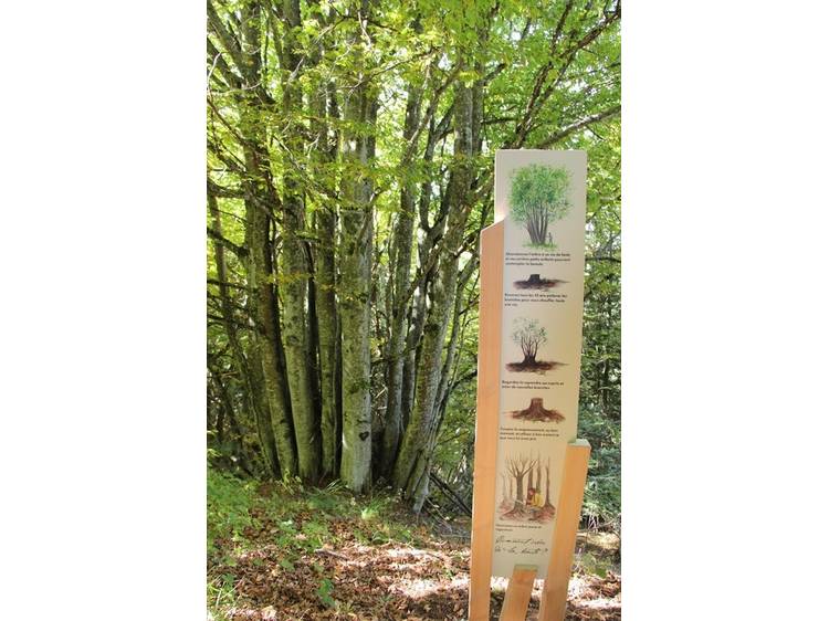 Photo 3 Le Bel Arboretum