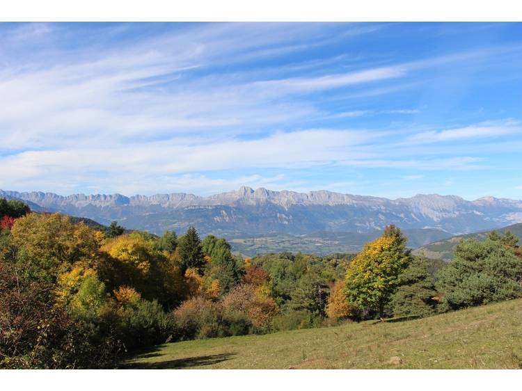 Photo 4 Le Bel Arboretum