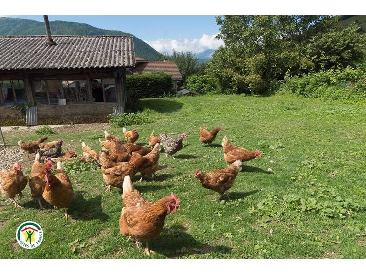 Photo 12 De La Bellevue