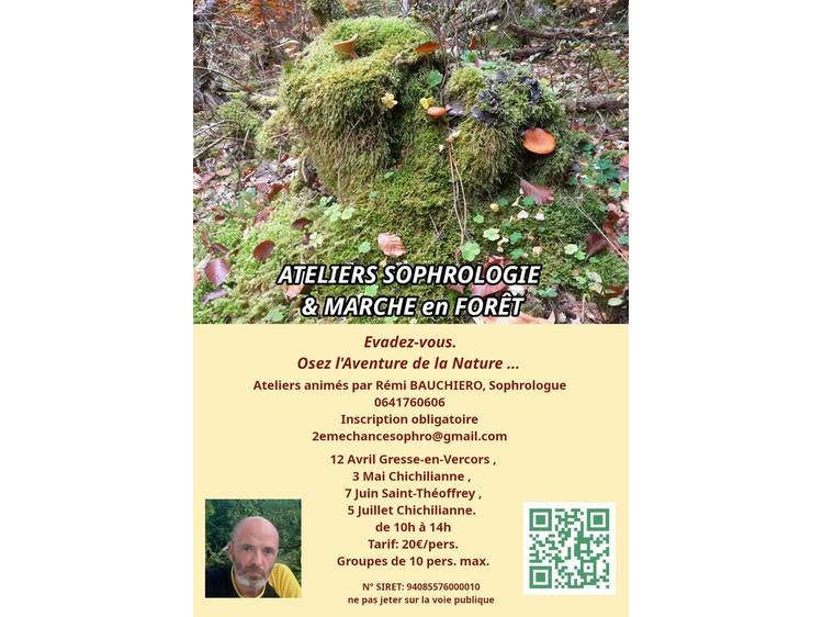 Photo 1 Atelier Sophrologie & Marche en Forêt