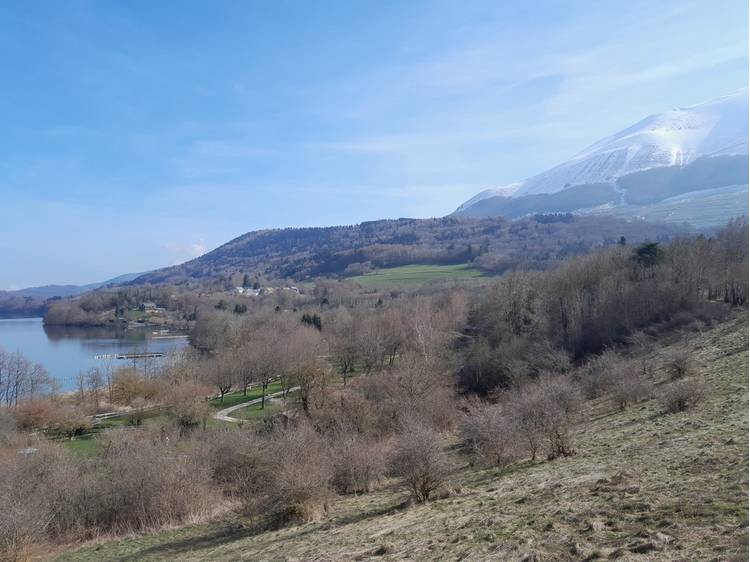 Photo 2 Atelier Sophrologie & Marche en Forêt