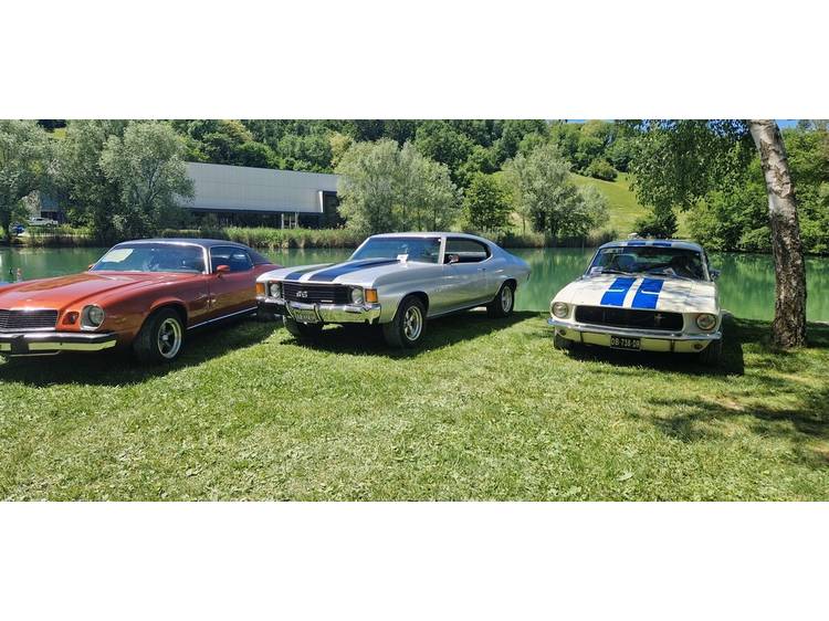 Photo 3 Exposition Auto Moto de Collection et de Prestige