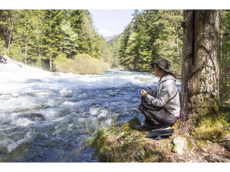 Photo 4 Mystérieuses orchidées