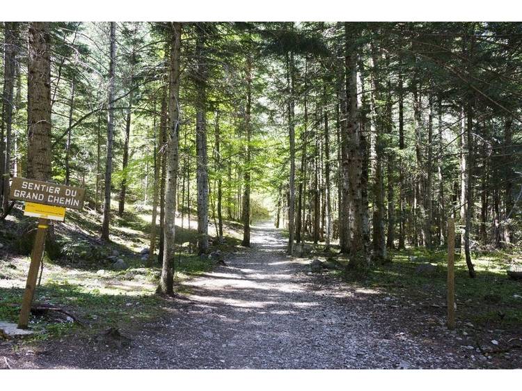 Photo 5 Mystérieuses orchidées