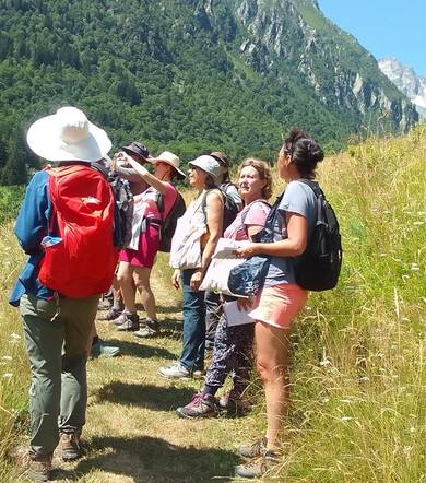 Stage plantes médicinales