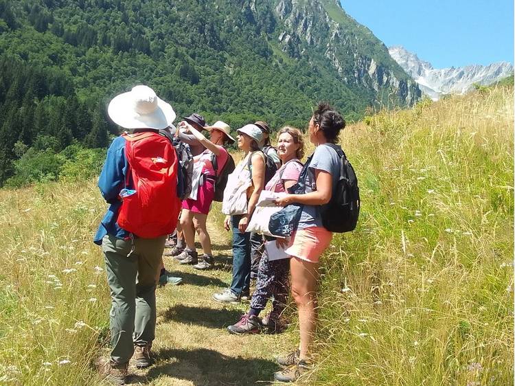 Photo 1 Stage plantes médicinales