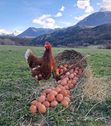La ferme de Virg & Céd