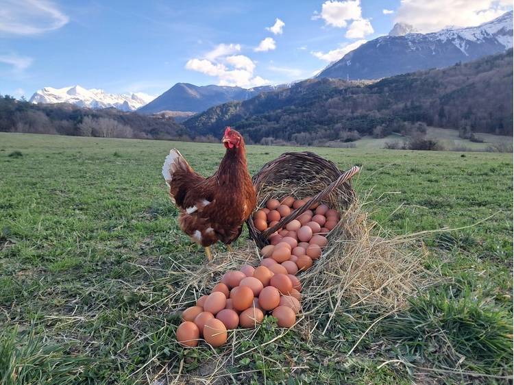 Photo 1 La ferme de Virg & Céd