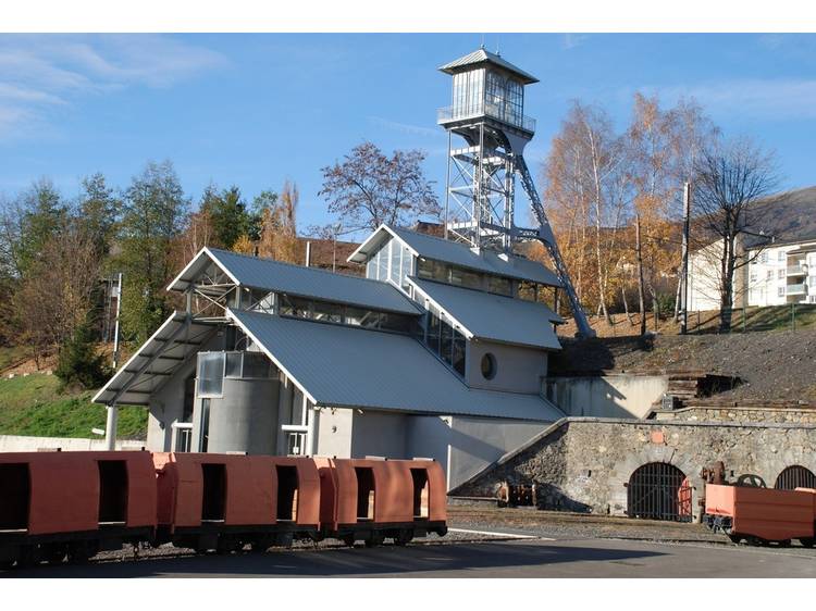 Photo 1 Nous ne sommes pas des oiseaux