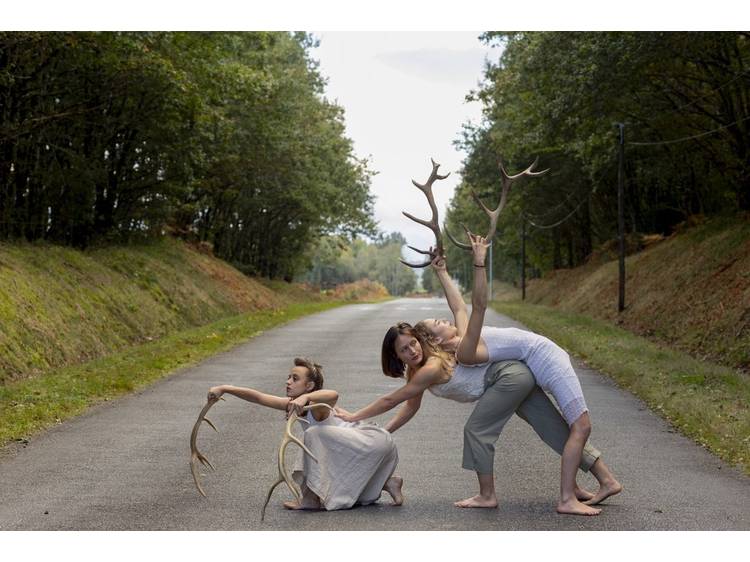 Photo 2 Faune