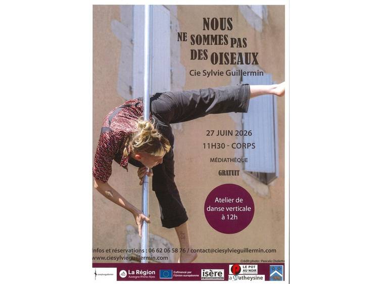 Foto 1 Spectacle de danse verticale à Corps "Nous ne sommes pasdes oiseaux" - Cie Sylvie Guillermin 