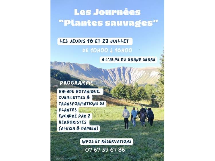 Photo 1 Les journées "Plantes sauvages" à l'Alpe du Grand Serre