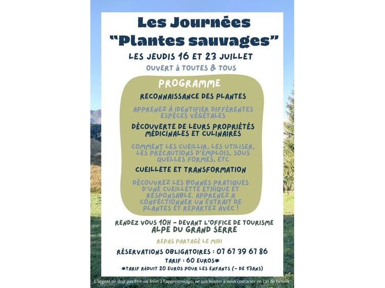 Photo 2 Les journées "Plantes sauvages" à l'Alpe du Grand Serre