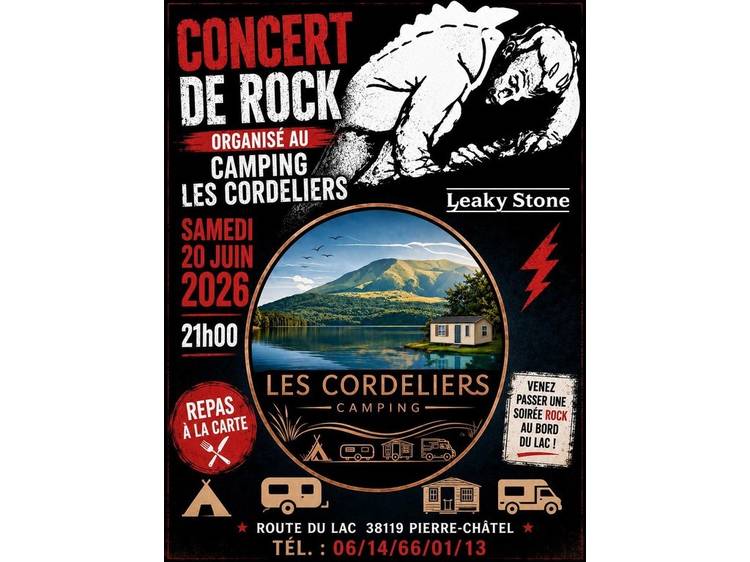 Photo 1 Concert de Rock : Leaky Stone