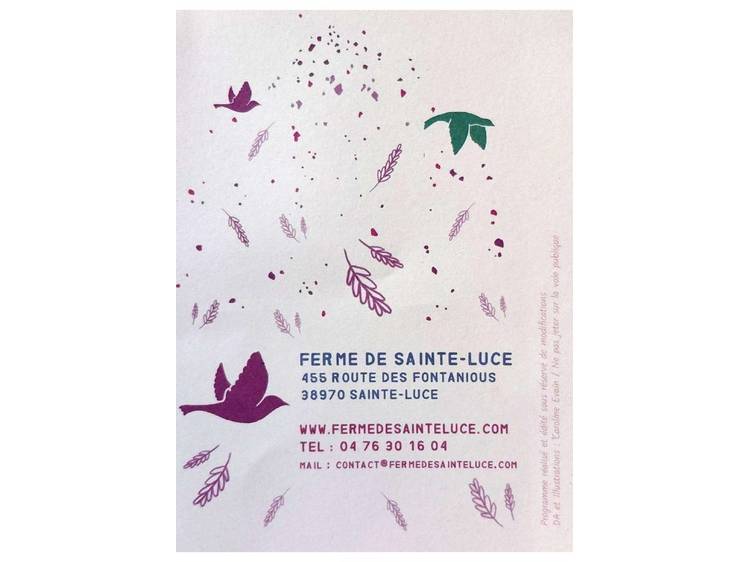 Photo 6 Concert Les Oiseaux de Trottoir