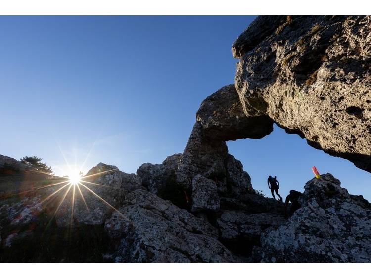 Photo 2 Trail des passerelles : La Grande Course